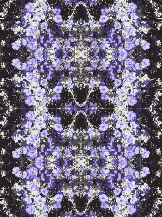 Purple-Flower-56-57